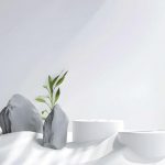 premium wordpress themes