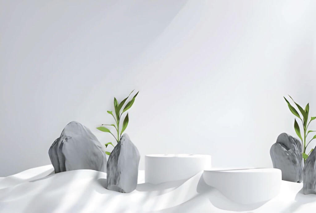 premium wordpress themes