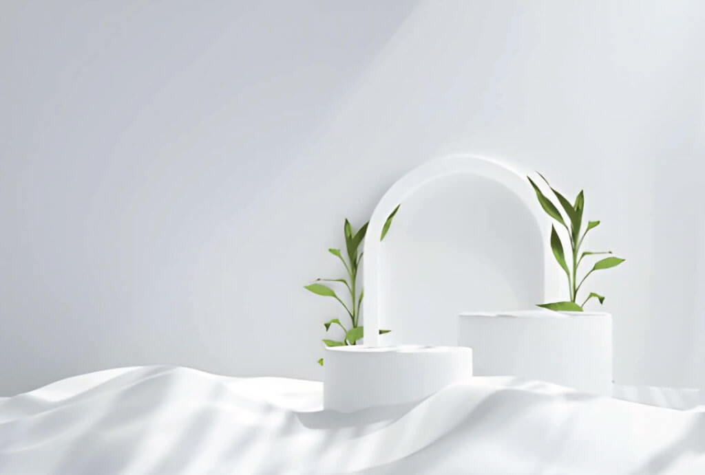 wp premium theme about us